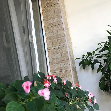 Проживание в семье Casa Petre