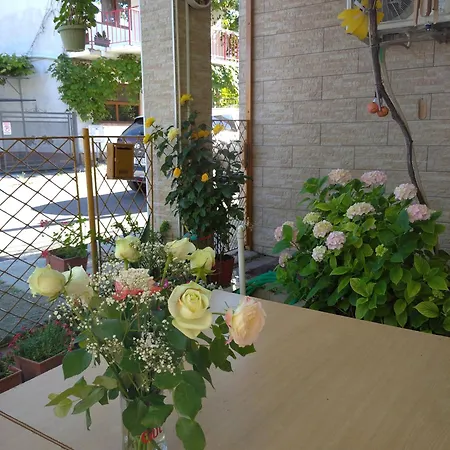 Casa Petre * Eforie Nord