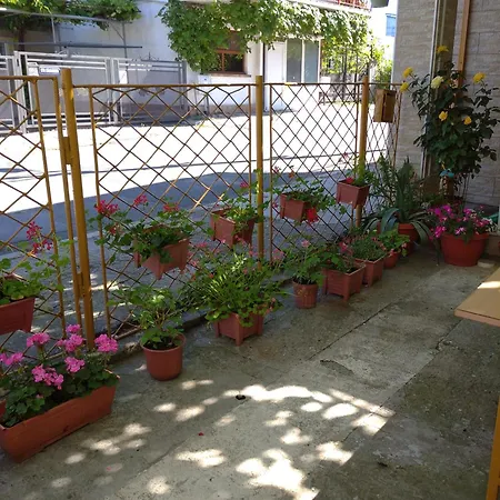 Casa Petre * Eforie Nord