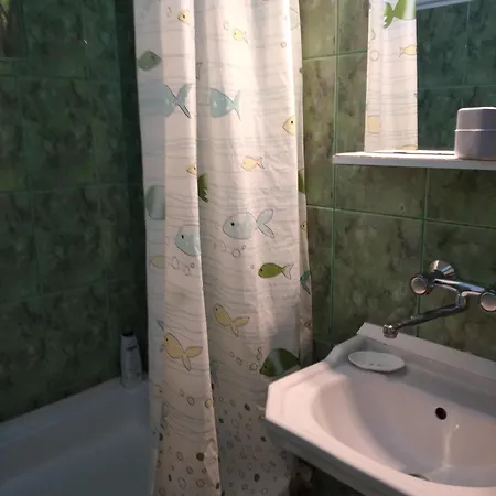 Gazde/Camere de închiriat Casa Petre *
