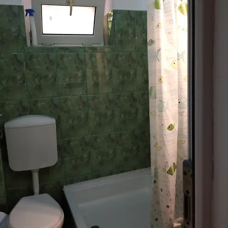 Gazde/Camere de închiriat Casa Petre *