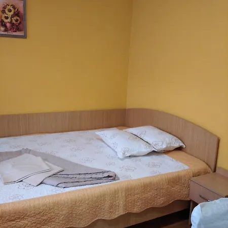Casa Petre Gazde/Camere de închiriat *