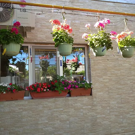 Casa Petre Gazde/Camere de închiriat *