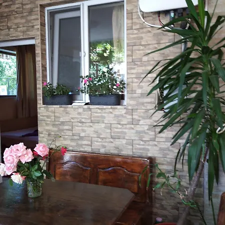 Gazde/Camere de închiriat Casa Petre Eforie Nord